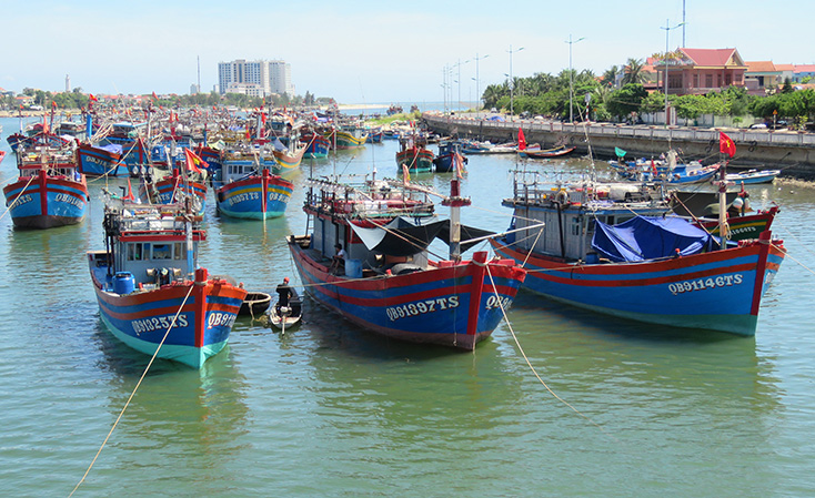 Các sở, ngành, địa phương trả lời ý kiến, kiến nghị của cử tri