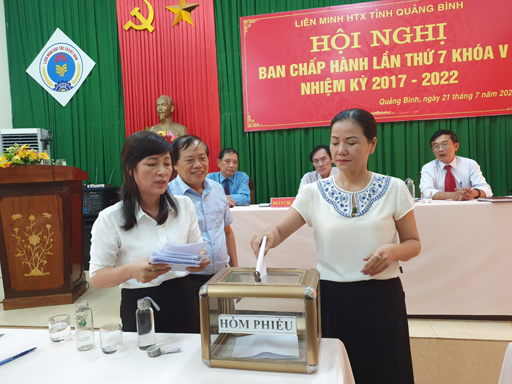 Liên minh HTX tỉnh: Hội nghị Ban chấp hành lần thứ 7 khóa V