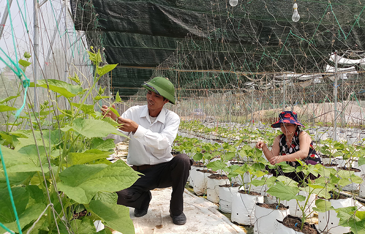 Đẩy mạnh dồn điền, đổi thửa gắn với chuyển đổi cơ cấu cây trồng, vật nuôi
