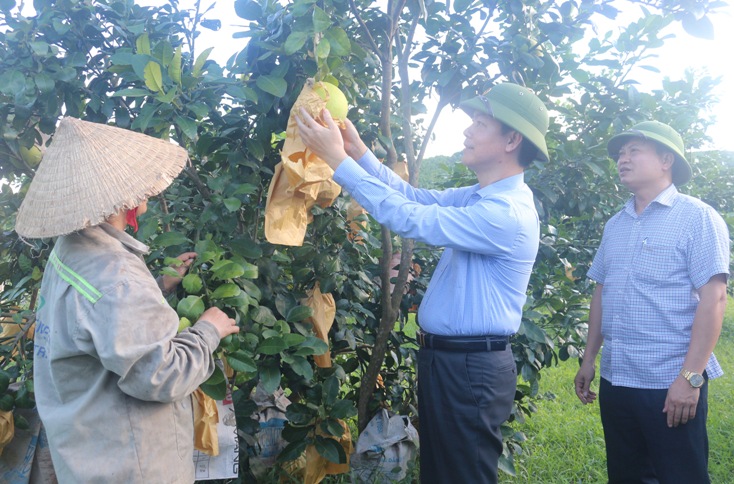 Khơi dậy tiềm năng, phát huy lợi thế