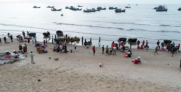 Tăng cường công tác kiểm soát tàu cá và ngư dân
