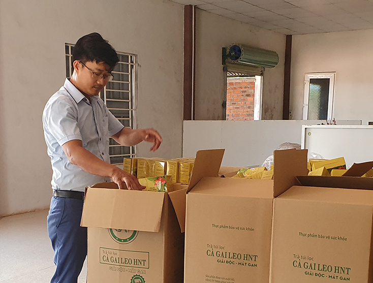 Nông dân Bố Trạch: Yên tâm sản xuất nhờ liên kết "bốn nhà"
