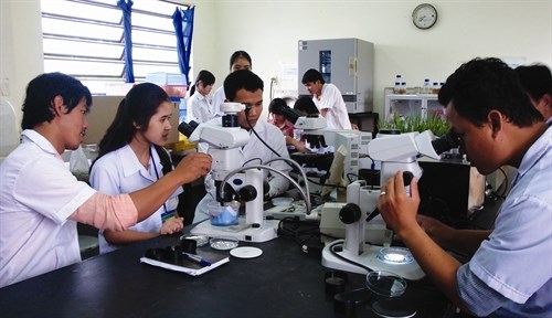 Không thể du di với chất lượng cử tuyển