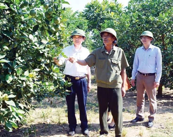 Vượt qua thách thức, hướng tới tương lai