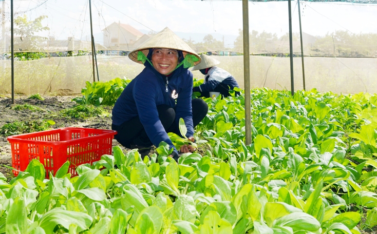 Vững tin Đồng Trạch