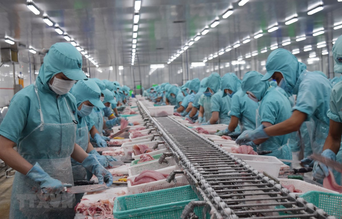 Thủ tướng Chính phủ phê duyệt Kế hoạch thực hiện Hiệp định EVFTA