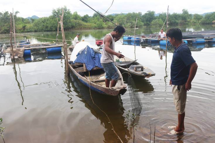 Quảng Ninh: Sản lượng khai thác và nuôi trồng thủy sản tăng 14,6%