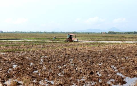 Quảng Ninh: Tăng cường quản lý đất đai trên địa bàn