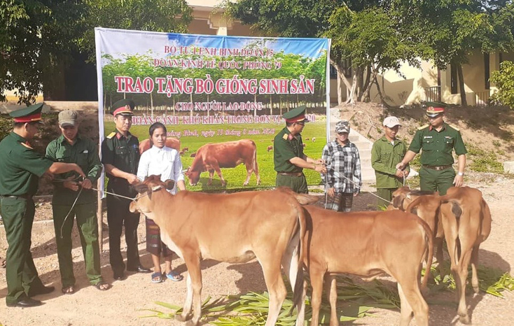 Trao bò giống sinh sản cho người lao động có hoàn cảnh khó khăn