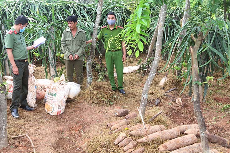Triệt phá chuyên án, thu giữ gần nửa tấn thuốc nổ và nhiều đầu đạn nguy hiểm
