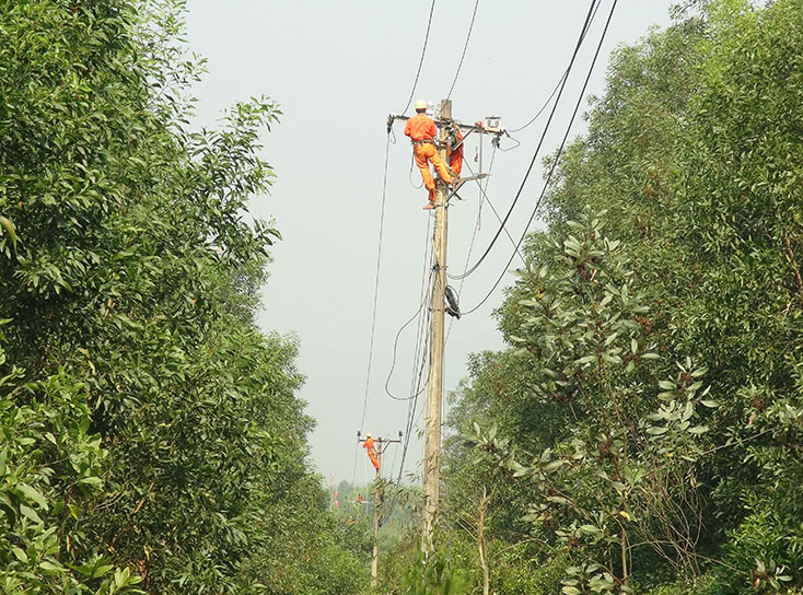 Ngành điện chủ động ứng phó với thiên tai