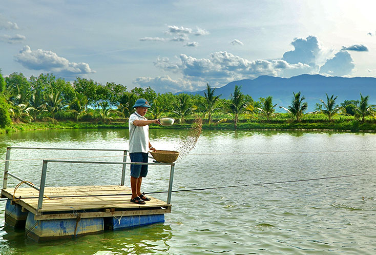 Làm giàu từ mô hình vườn-ao-chuồng