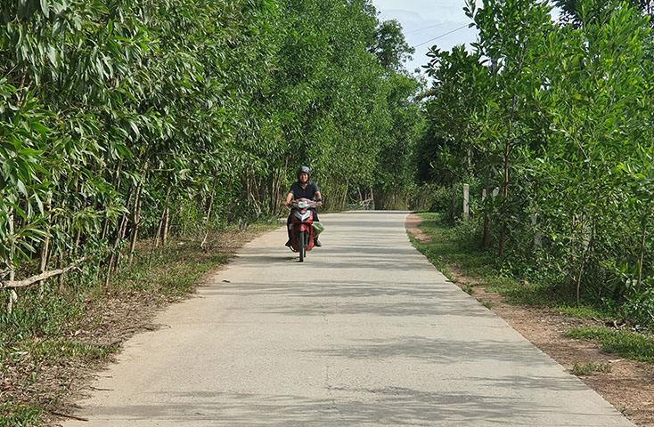 Đường lên no ấm...