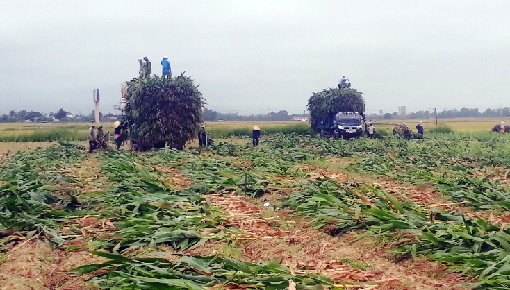 Đại Trạch, vùng đất  khó đã chuyển mình