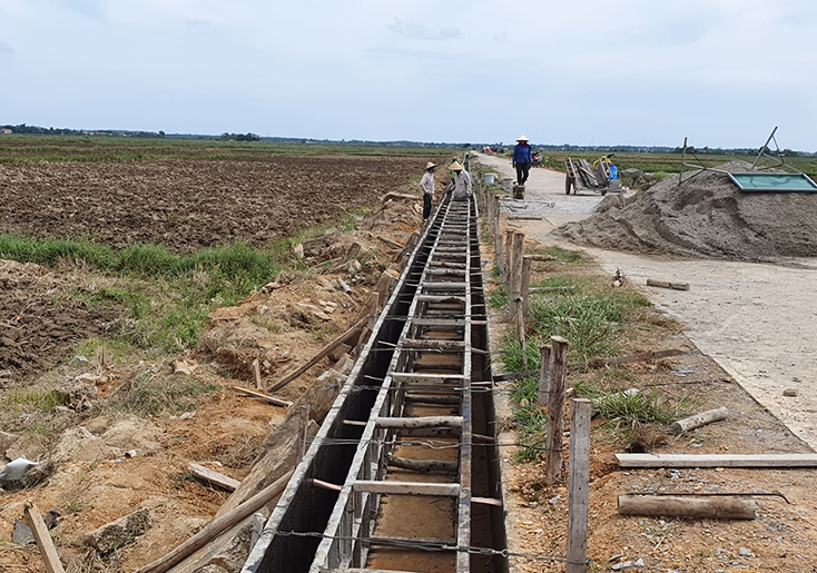 Phát huy vai trò liên hiệp hợp tác xã