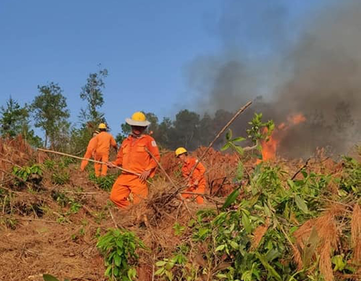 Điện lực Bố Trạch: Phối hợp với chính quyền, người dân địa phương kịp thời chữa cháy rừng