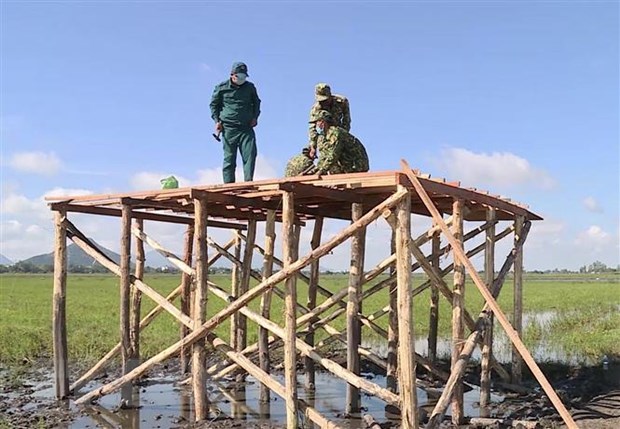 Việt Nam không có ca mắc COVID-19 mới, 805 ca đã được điều trị khỏi