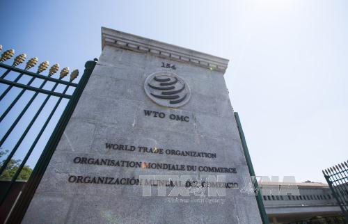 WTO khởi động tiến trình bầu chọn lãnh đạo mới