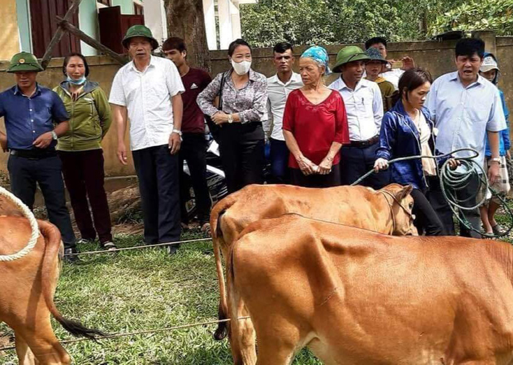 Trao bò cái sinh sản cho hộ nghèo