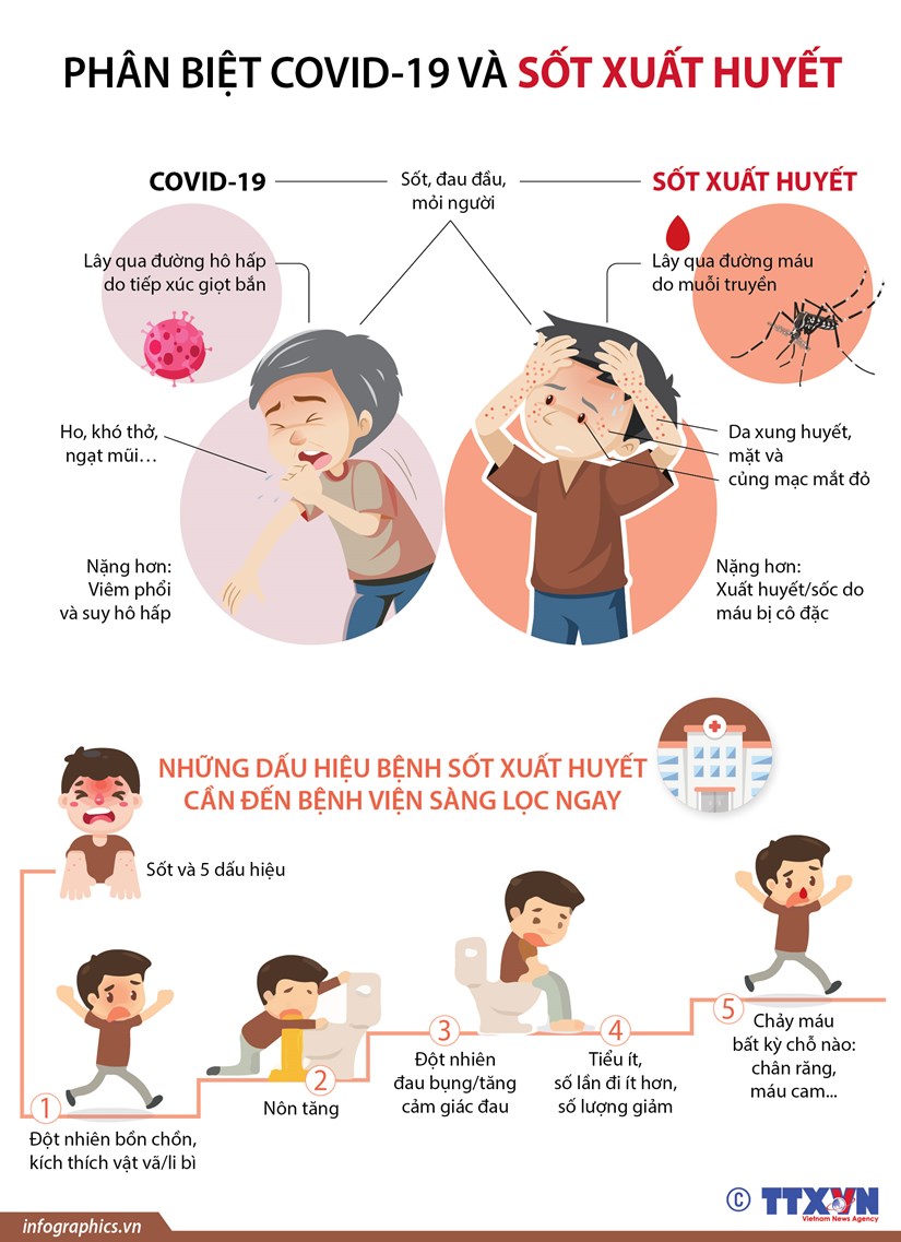 [Infographics] Phân biệt COVID-19 và bệnh sốt xuất huyết