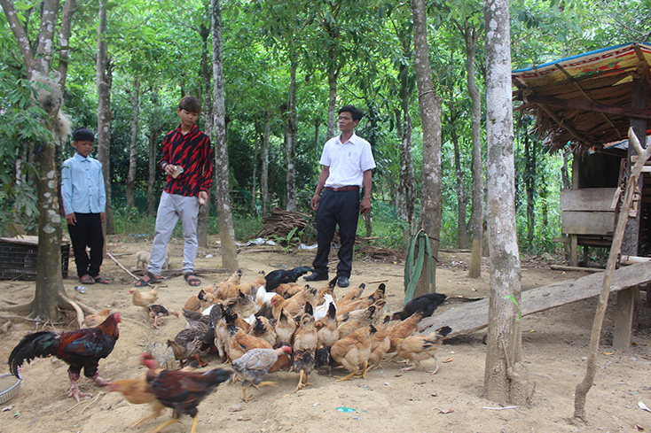 Giao đất ở, đất sản xuất ở xã Ngân Thủy: Người dân yên tâm phát triển kinh tế