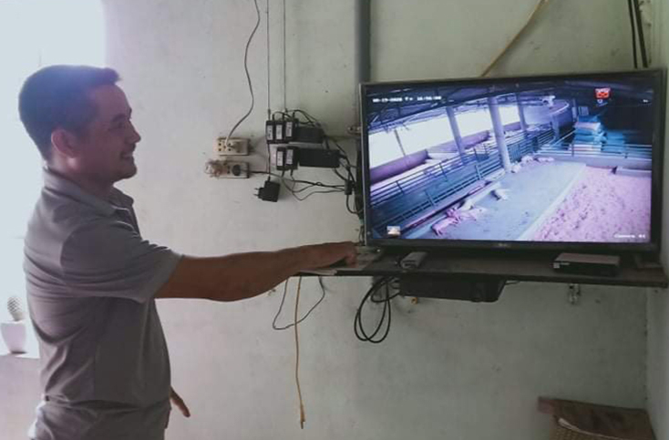 TX. Ba Đồn: Chăn nuôi lợn bền vững theo hướng hữu cơ