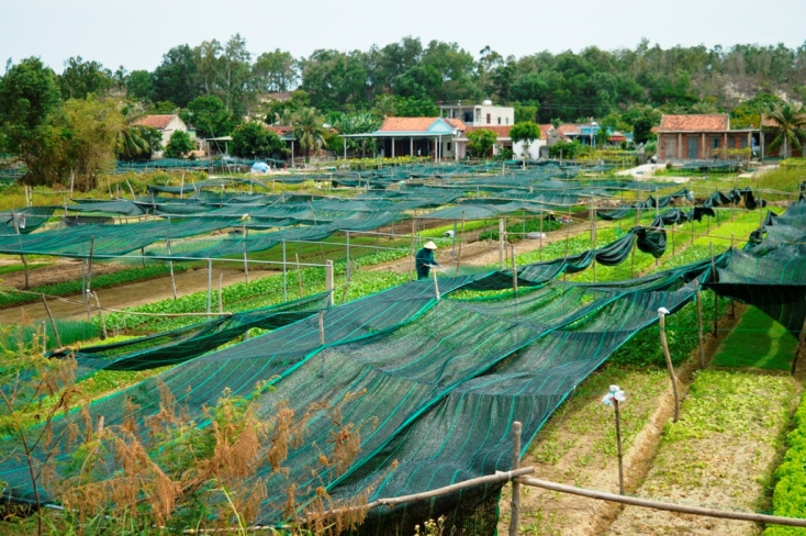 Phụ nữ Hồng Thủy: Thi đua phát triển kinh tế