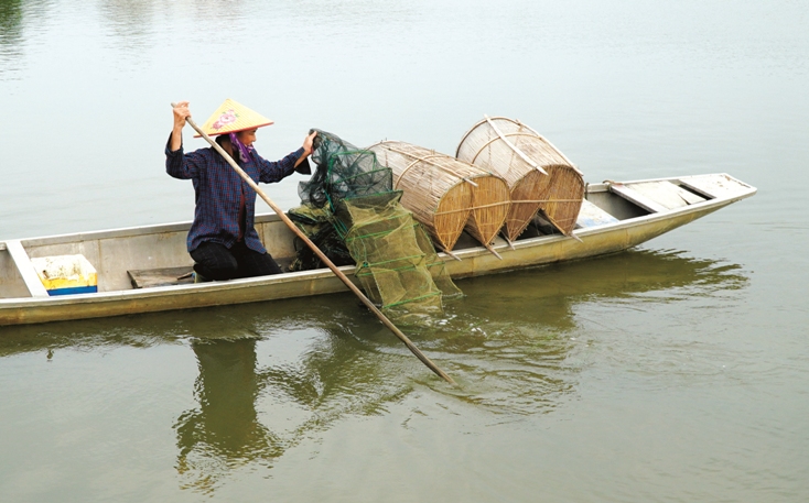 Bên đầm