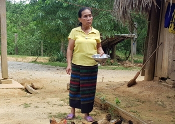 Những cánh chim Mơ Leng không mỏi - Bài 2: Dang rộng đôi cánh đại bàng