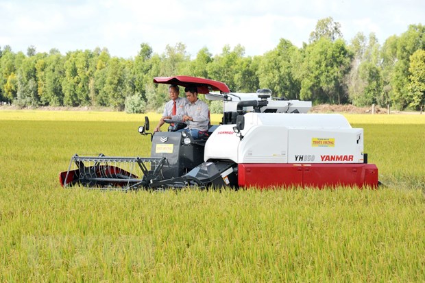 EVFTA mở "cánh cửa lớn" cho gạo Việt Nam sang thị trường EU