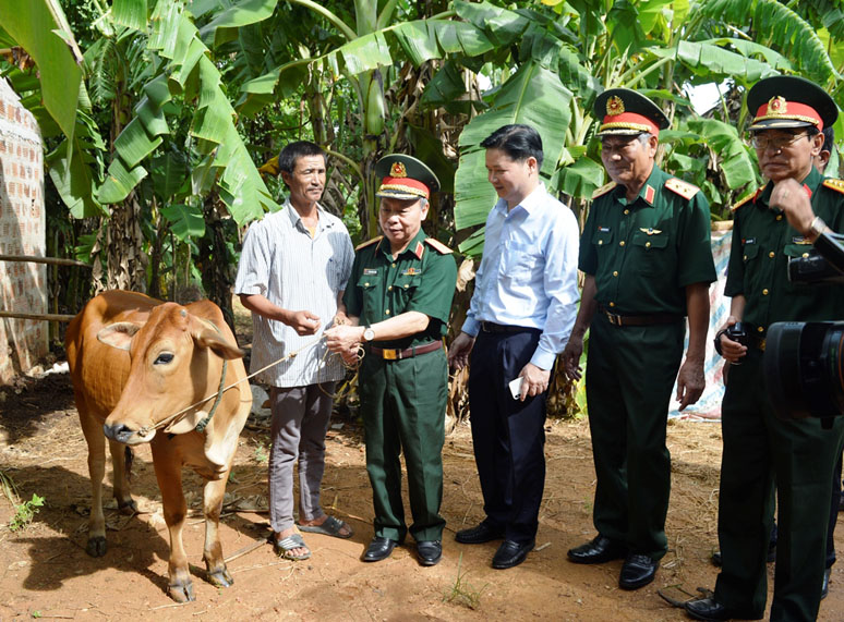 Hỗ trợ sinh kế và nhà ở cho 43 nạn nhân bom mìn