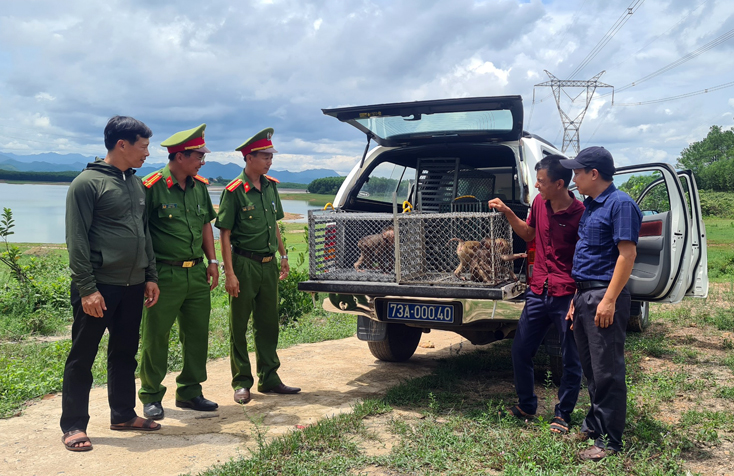 Tiếp nhận động vật hoang dã để thả về môi trường tự nhiên