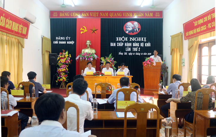 Hội nghị Ban chấp hành Đảng bộ Khối Doanh nghiệp tỉnh lần thứ 2