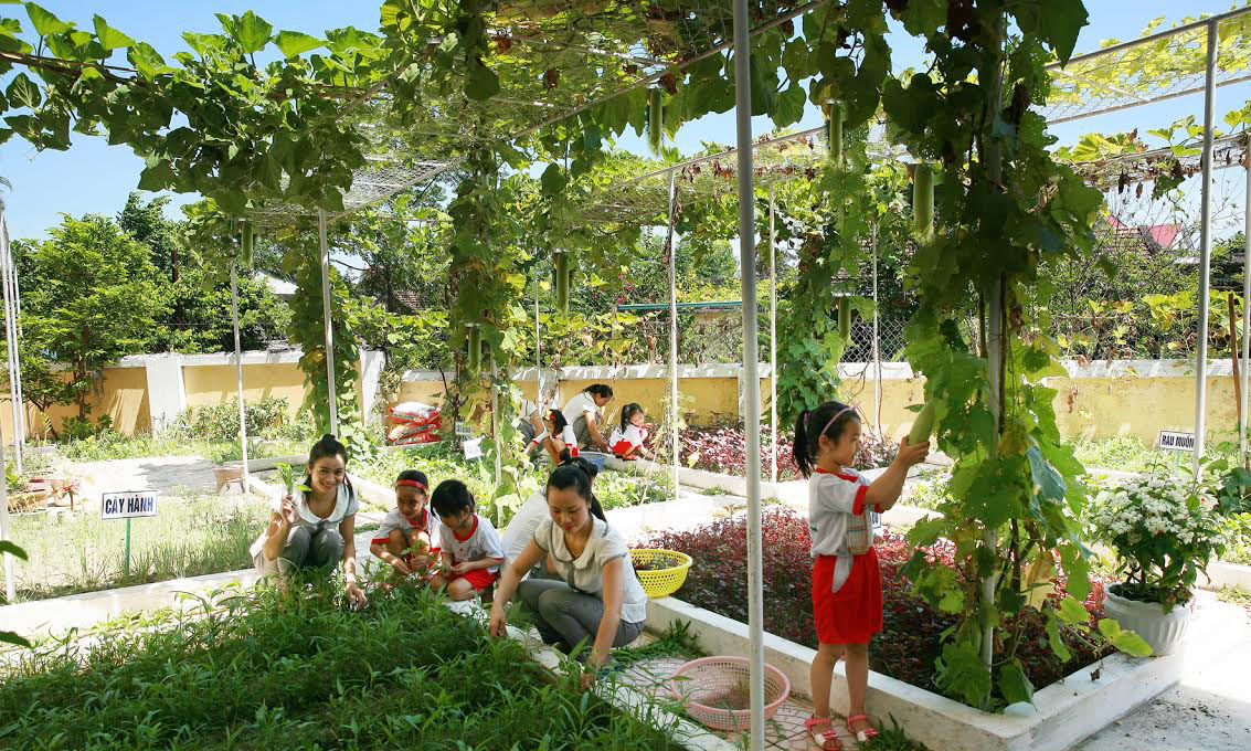 Trường học xanh từ những vườn rau sạch