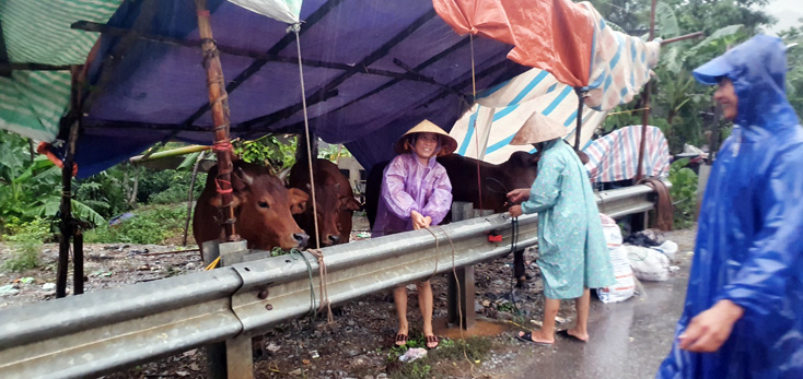 Nước sông Gianh đang lên, trên 2.500 hộ dân bị cô lập