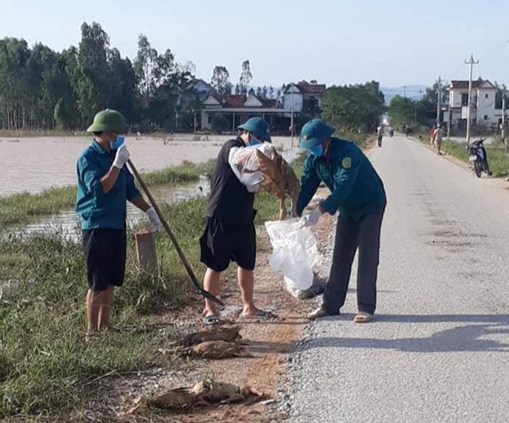 Tăng cường giám sát dịch bệnh trên đàn vật nuôi sau lũ lụt