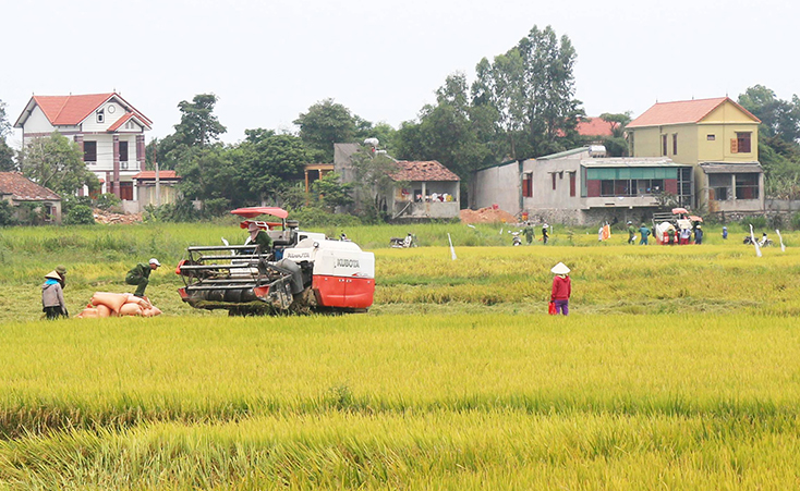 Quảng Bình vững tin hướng về phía trước