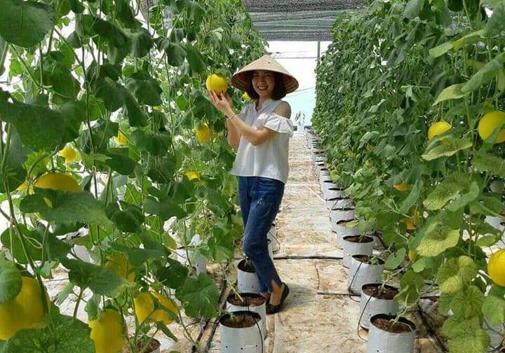 Quảng Trạch: Hướng tới nền nông nghiệp hiện đại