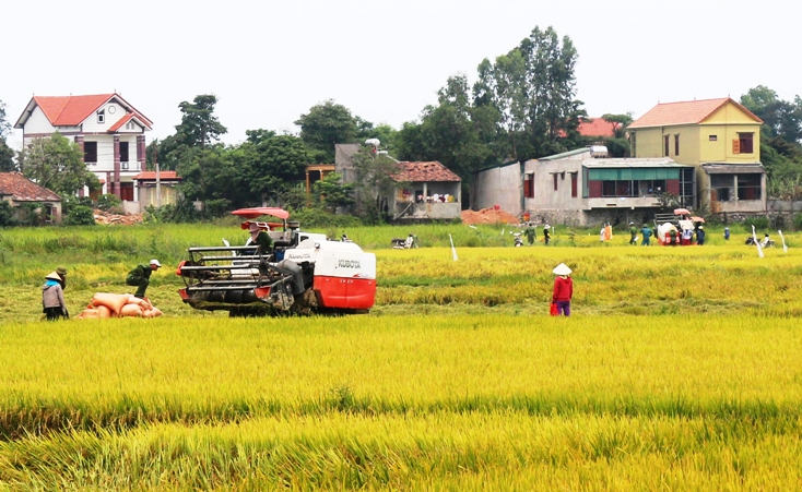 Quảng Ninh: Tạo đột phá từ phát triển kết cấu hạ tầng