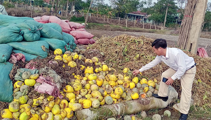 Vựa rau Quảng Long mất trắng do mưa lũ