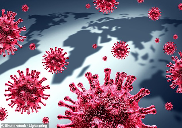 Nguy cơ đại dịch từ 850.000 virus lạ trên động vật