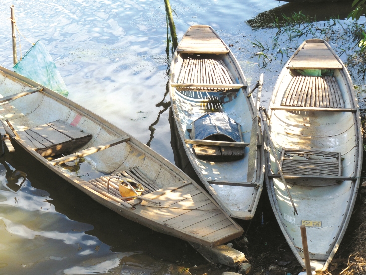Cây chuối, cây tre và con thuyền