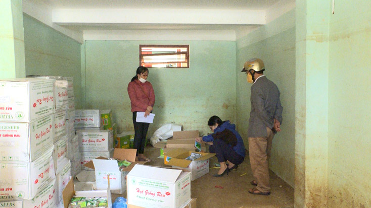 Lệ Thủy: Phân bổ 2.000kg hạt giống cho người dân