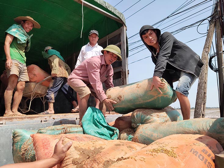 Bảo đảm sinh kế của người dân sau lũ
