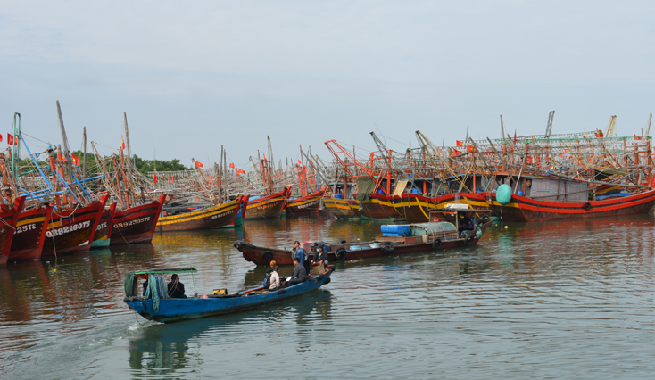 Bố Trạch: Di dời hơn 1.800 hộ dân đến nơi an toàn