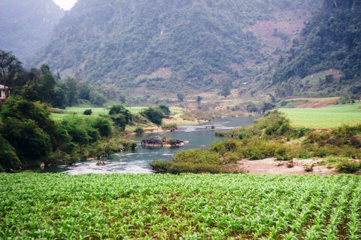 Bạn cùng lớp