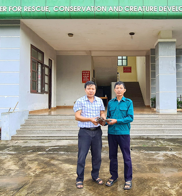 Tiếp nhận, cứu hộ các cá thể động vật hoang dã nguy cấp quý hiếm