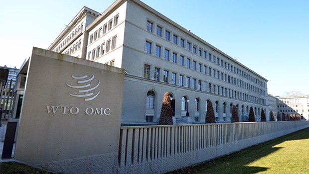 WTO kêu gọi thúc đẩy cải cách để ứng phó thách thức toàn cầu mới