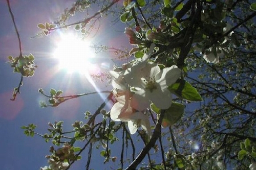 Chạm nắng đông