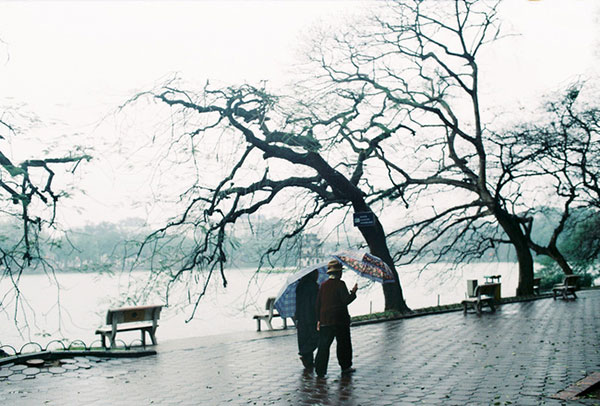 Dường như